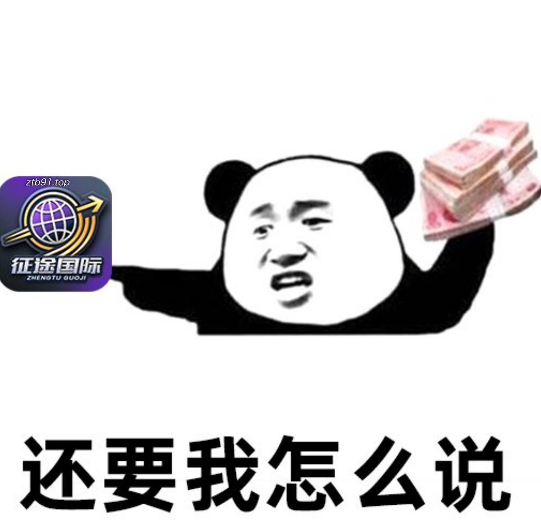 征途国际